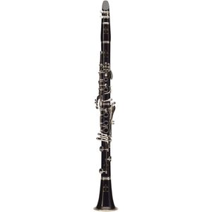 Buffet Crampon R13 A Clarinet - Green LinE, Silver Plated