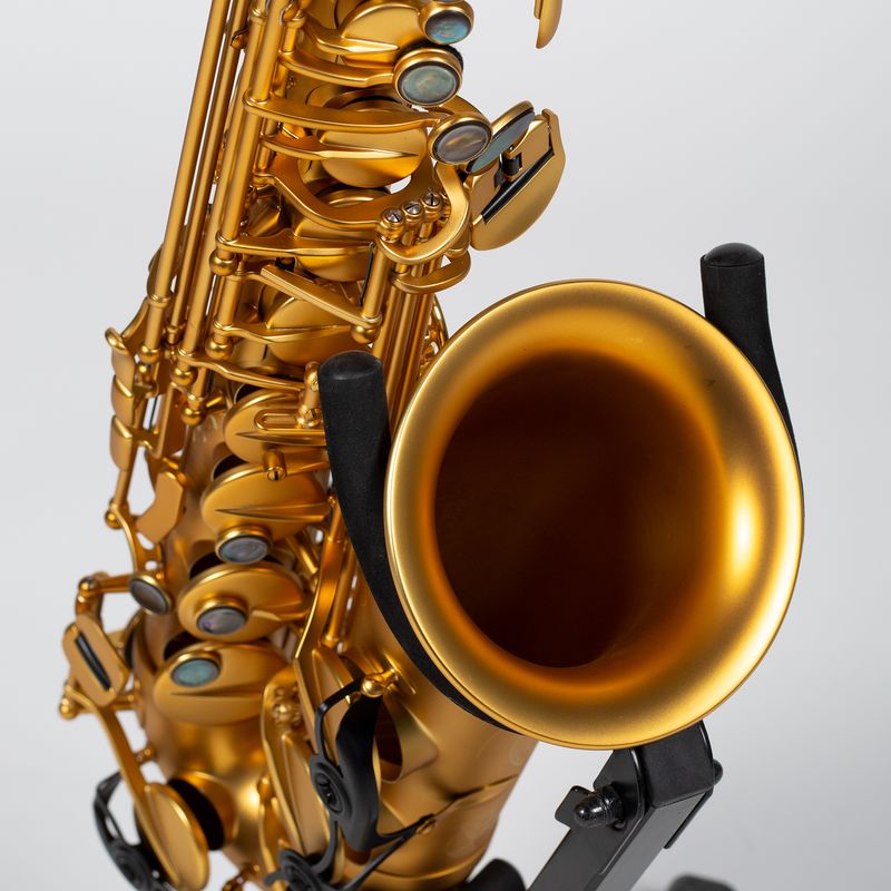 Henri Selmer Paris Modele '22 100th Anniversary Alto Saxophone
