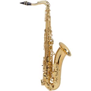 Selmer SSS311 Student Bb Soprano Saxophone