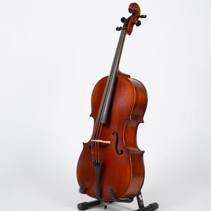 Stratus by Eastman SVC98 Cello Outfit - 1/2, Deluxe Bag