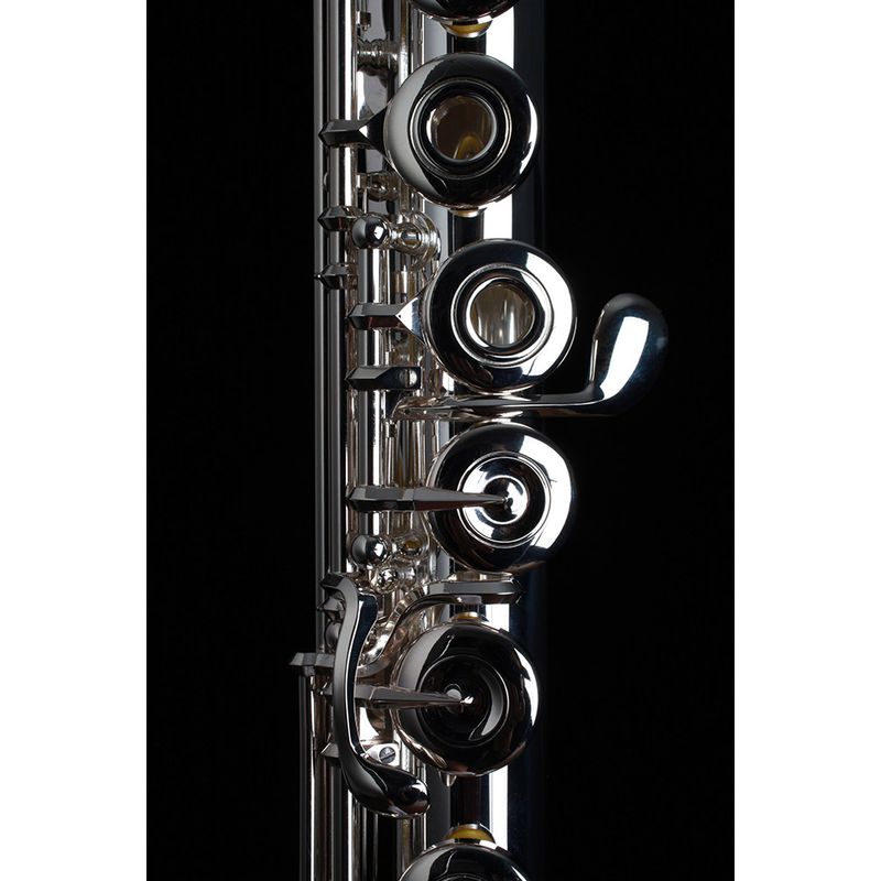 Flute Muramatsu EX Model OH BF IG - Cosmo Music