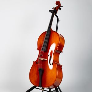 Stratus by Eastman SVC130-O Cello Outfit - 4/4