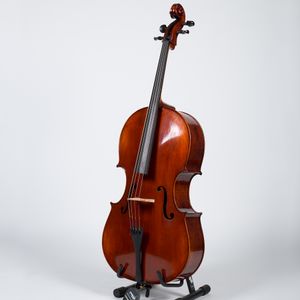 Stratus by Eastman Montagnana Cello Outfit - 4/4