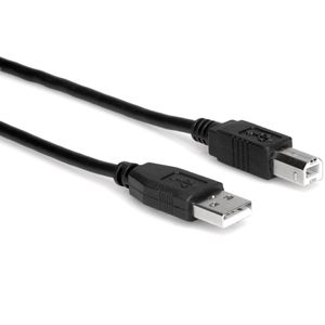 Hosa High Speed USB Cable - Type A / Type B, 6"
MAMBALFDV142172"