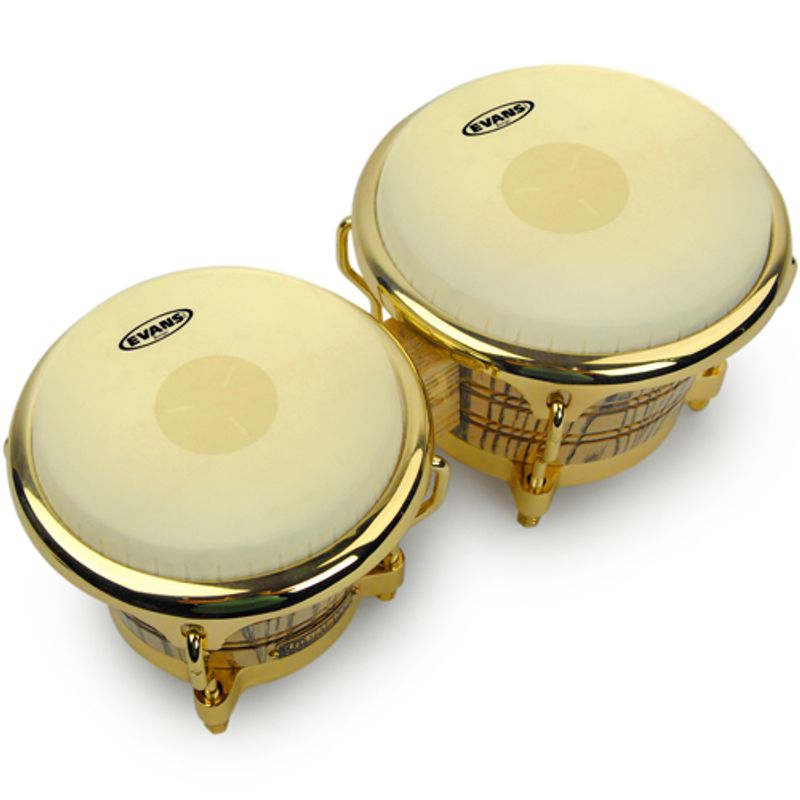 Bongo drum deals heads