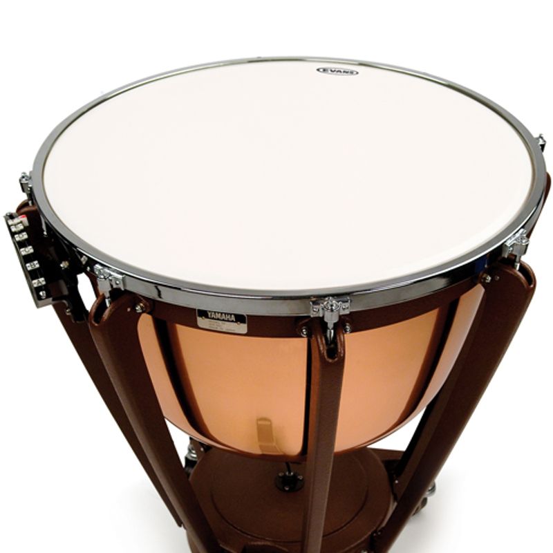 Evans Orchestral Series Timpani Head 34 1/2" Cosmo Music