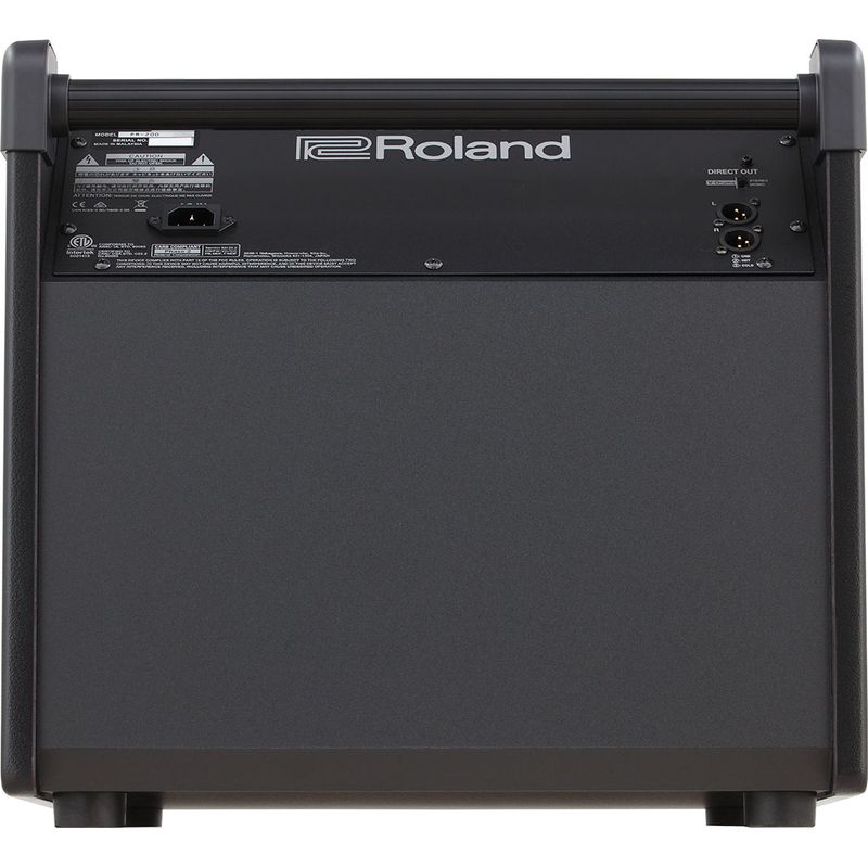Roland PM-200 Personal Monitor - Cosmo Music