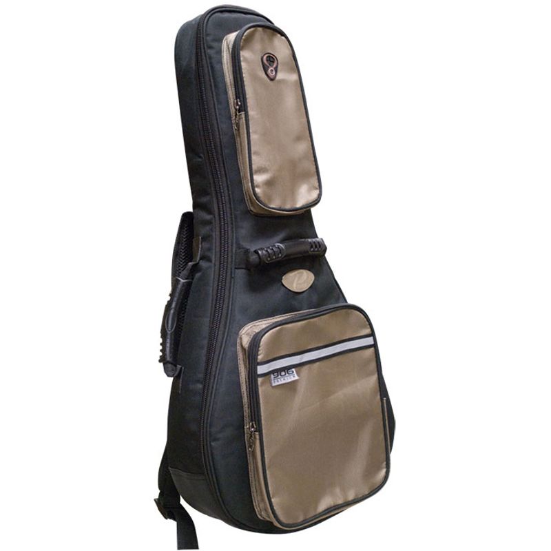 Mandolin best sale gig bag