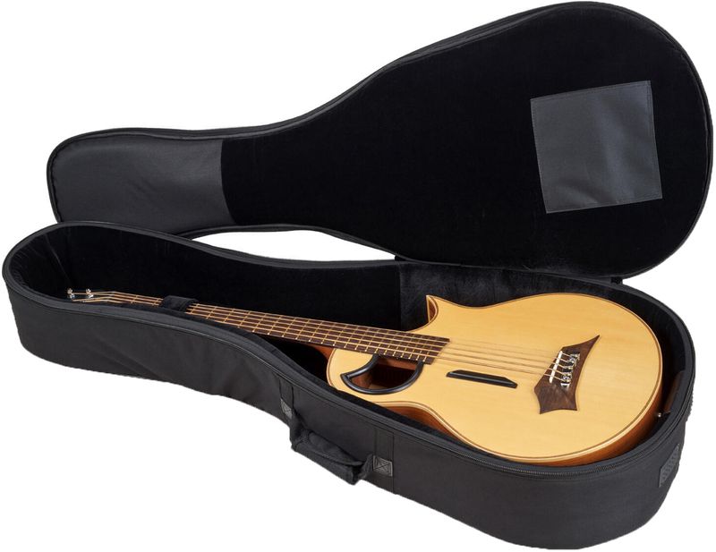 Acoustic bass clearance guitar gig bag