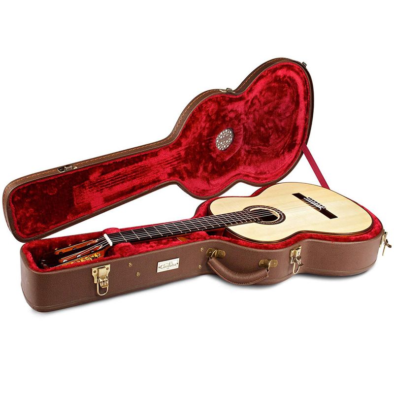 Full size guitar case hot sale