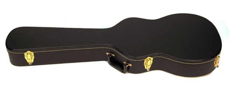 Gibson es 339 deals case