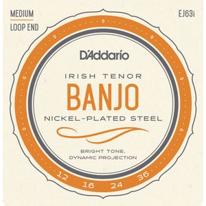 D'Addario EJ63i Irish Tenor Banjo Strings - 12-36