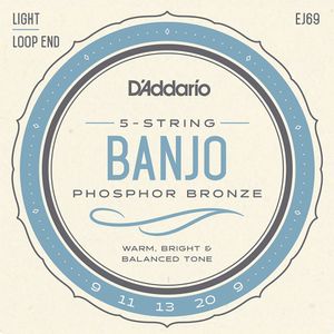 D'Addario Phosphor Bronze 5-String Banjo Strings - Loop End, Light, 9-20