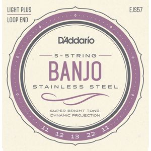 D'Addario EJS57 5-String Banjo Strings - Loop End, Medium, 11-22