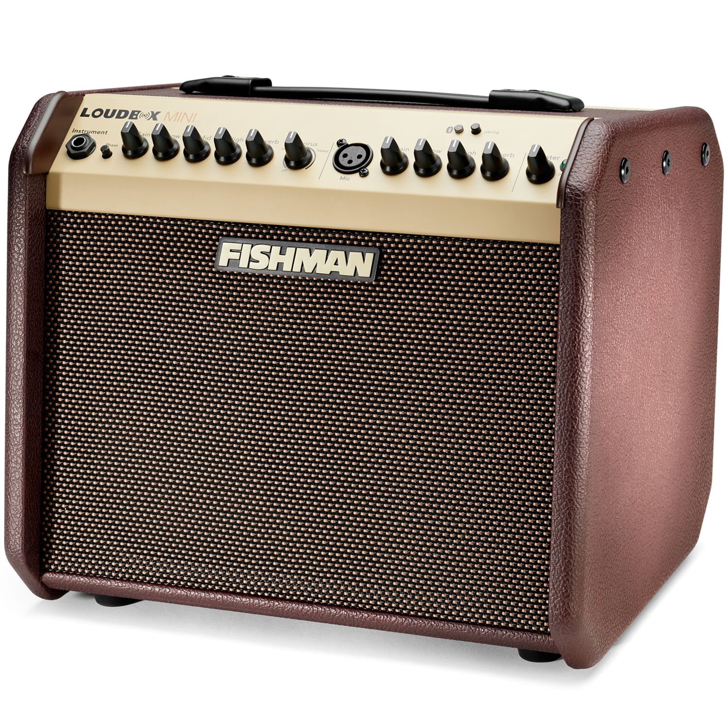 Fishman Loudbox Mini Bluetooth Amp - Cosmo Music