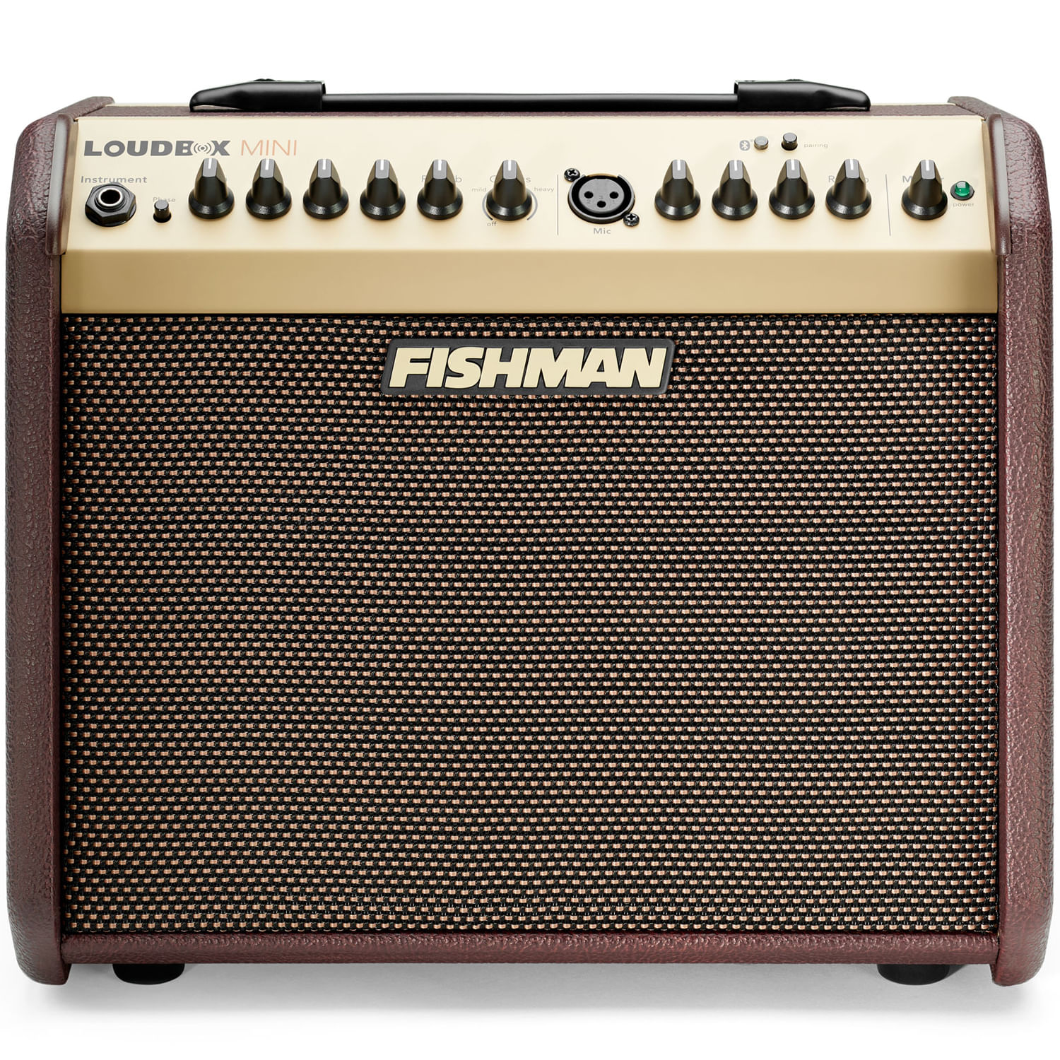 Fishman Loudbox Mini Bluetooth Amp - Cosmo Music