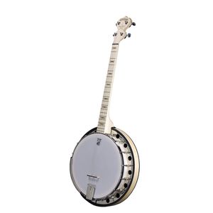 Deering Goodtime Two 19-Fret Tenor Banjo