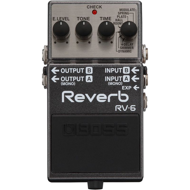 RV-6 Digital Reverb-