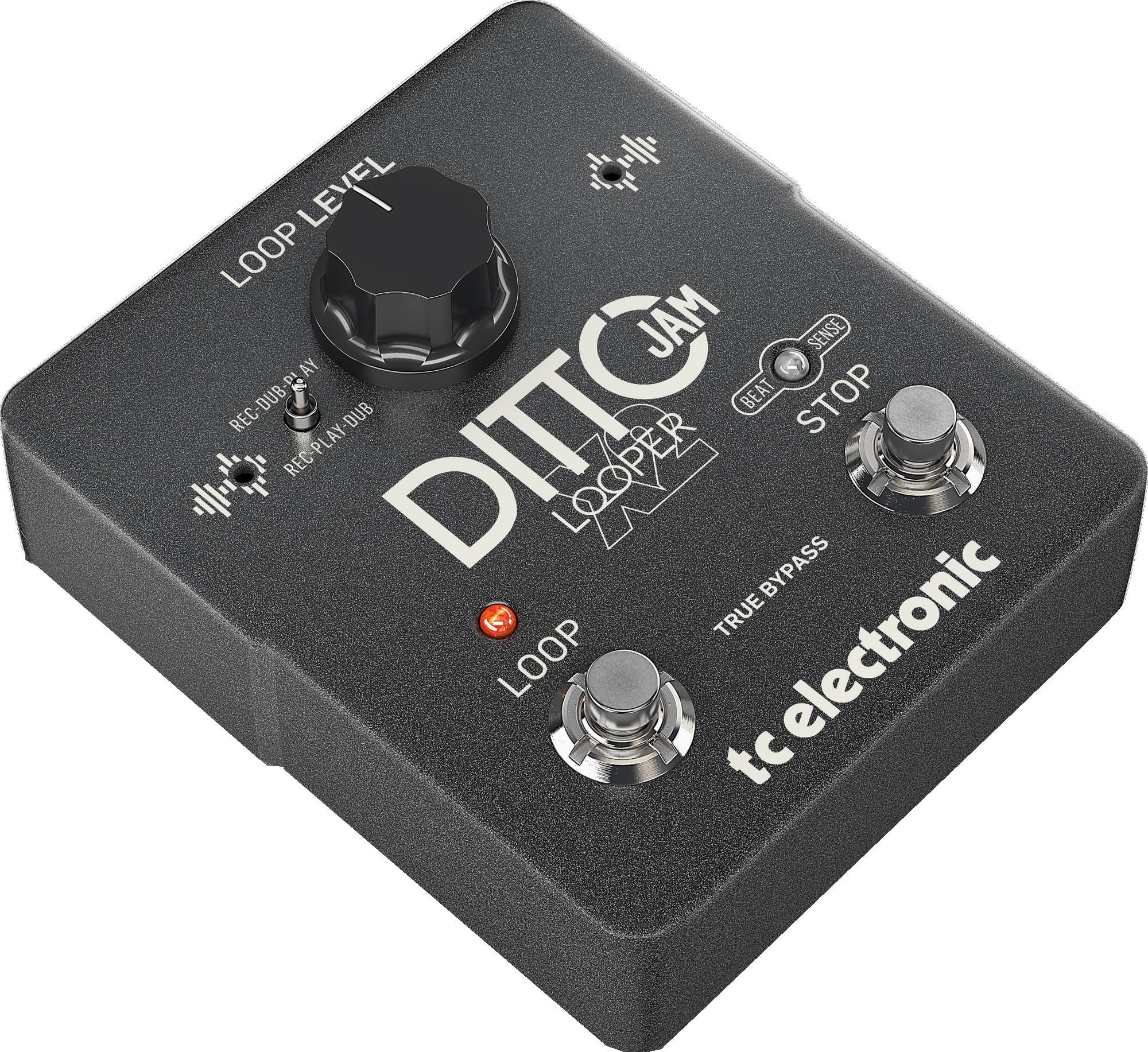 TC Electronic Ditto Jam X2 Looper Pedal - Cosmo Music