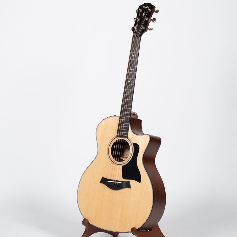 Taylor 314ce Japan Limited【限定モデル】 - 楽器/器材