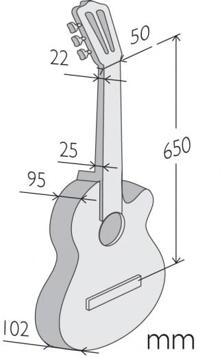 Alhambra Z-Nature CW EZ Classical Guitar - Cosmo Music | Canada's #1 Music  Store - Shop, Rent, Repair