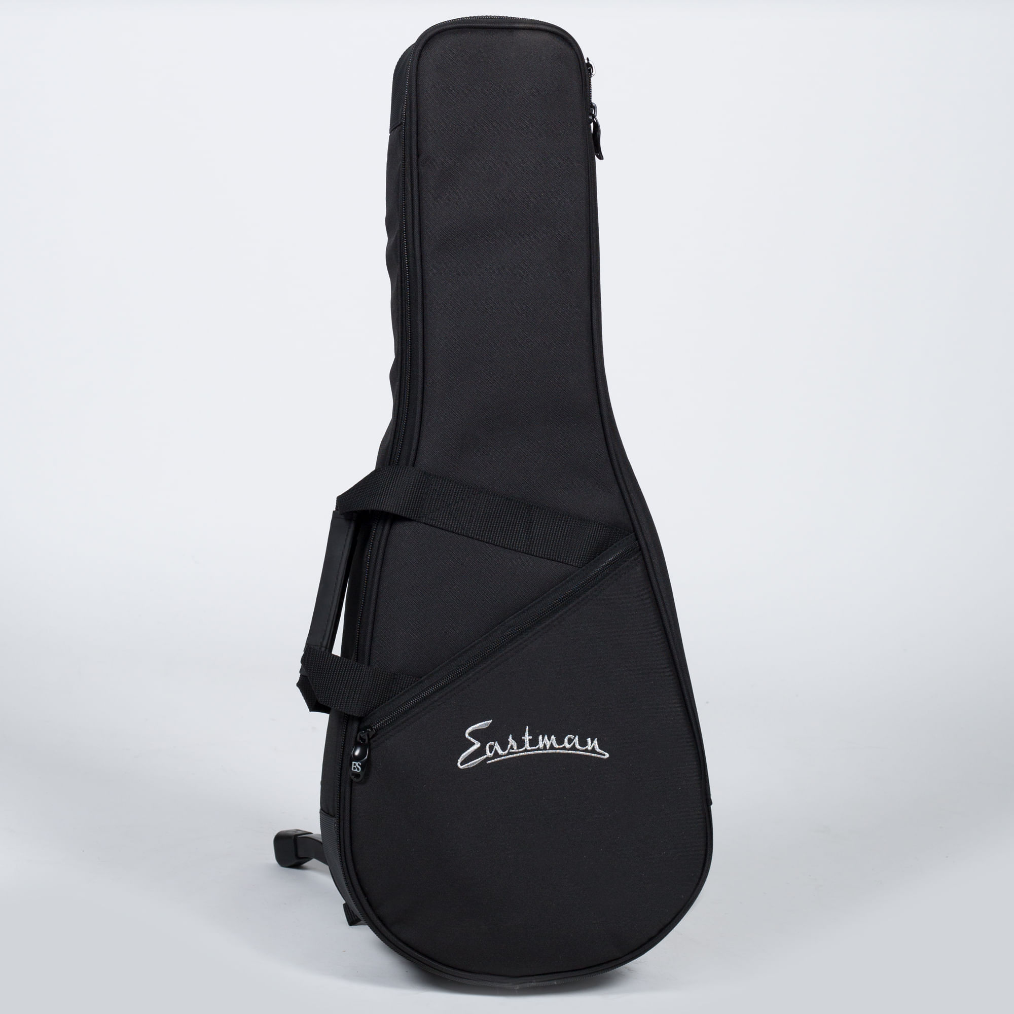 Eastman MD315 FStyle Mandolin Cosmo Music