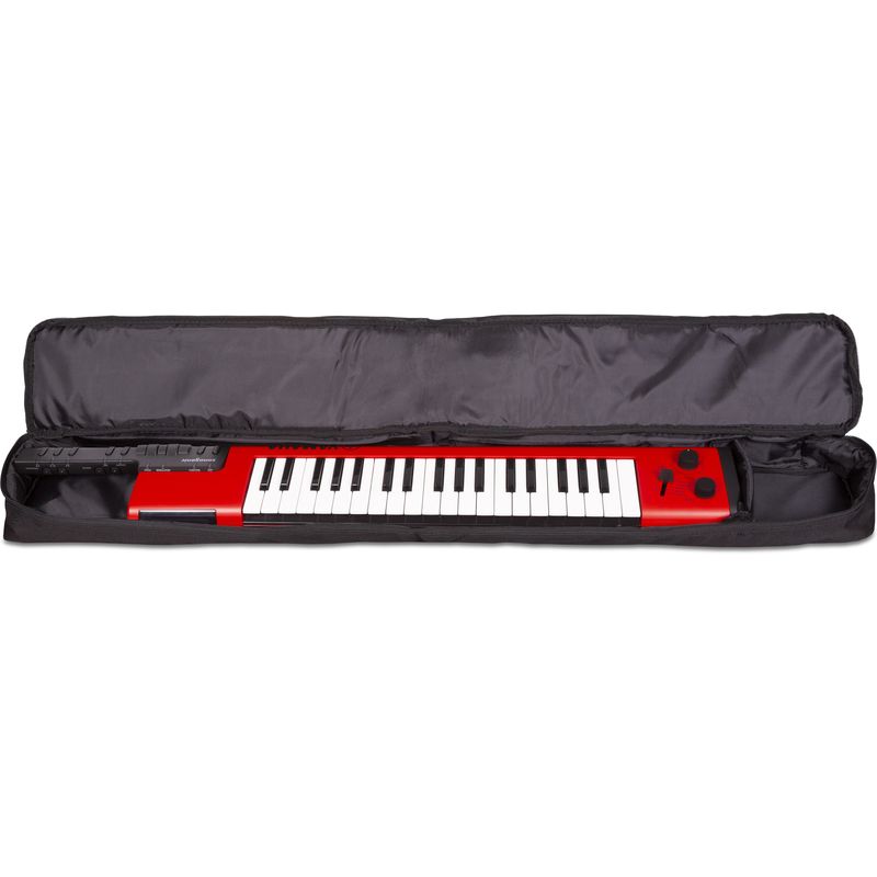 Keytar discount gig bag