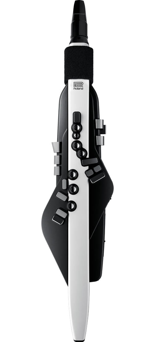 Roland Aerophone AE-20 Digital Wind Instrument - Cosmo Music