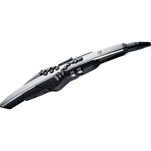 Roland AE-30 Aerophone Pro Digital Wind Instrument