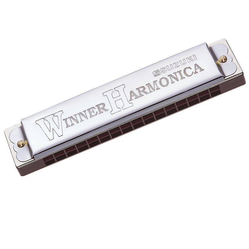 24 hole online harmonica