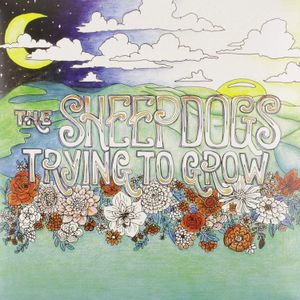 The Sheepdogs - Trying to Grow (Green Vinyl)