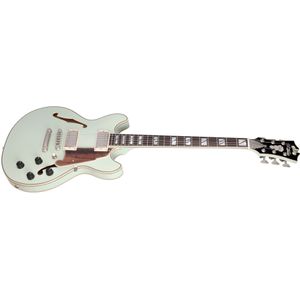 D'Angelico Deluxe Mini DC LE Electric Guitar - Sage