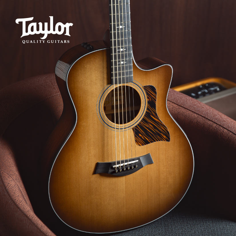 Taylor 50th Anniversary 316ce Baritone-6 LTD at Como Music