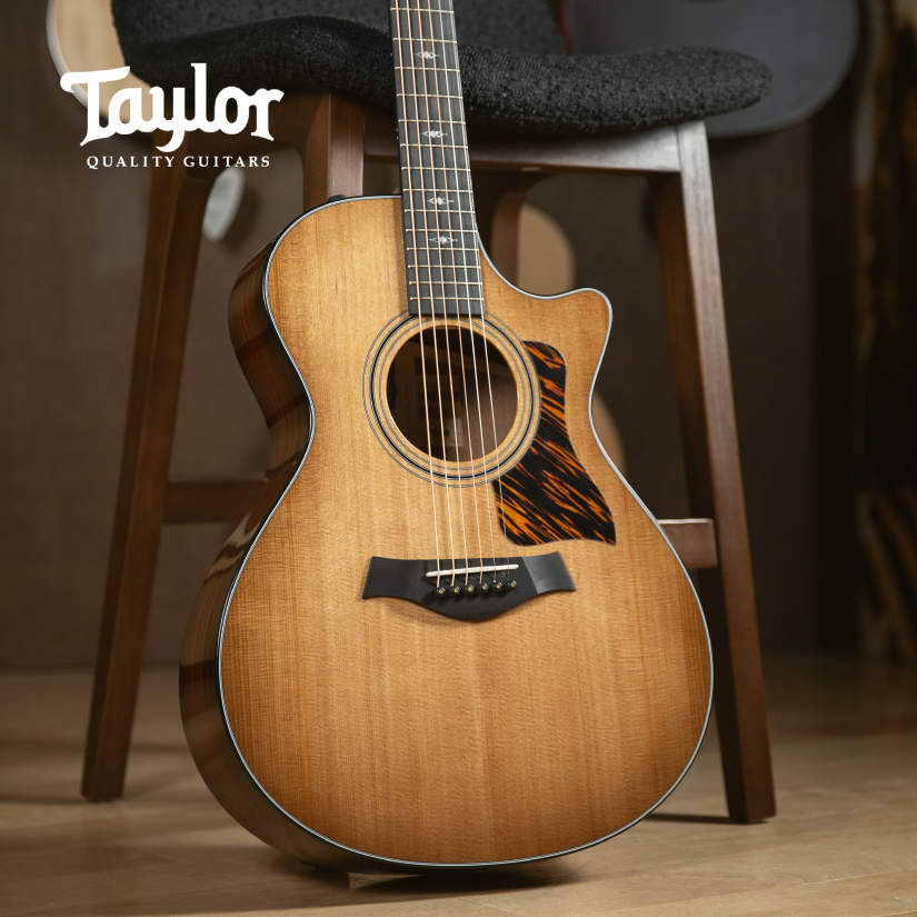 Taylor 50th Anniversary 312ce LTD at Cosmo Music